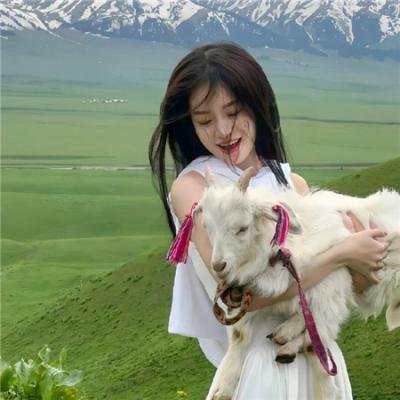 派特森与芬达猫：圣诞奇遇