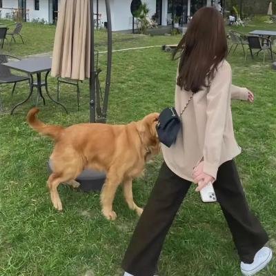 极恶老大第一季